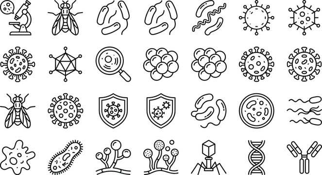 Infectious disease and laboratory graphic elements set with microbe cells microscope view immune protection shield and biological virus symbols linear style.