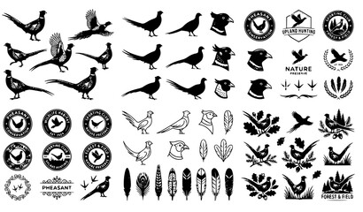 Obraz premium Pheasant icon collection vector woodland bird design
