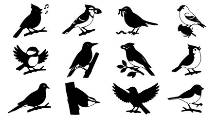 North American Birds Cartoon Vector Set with Twelve Colorful Wildlife Characters in Flat Design © MdAbdus