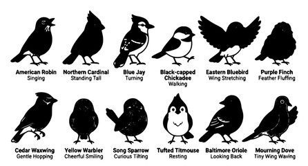 Obraz premium Flat Cartoon North American Songbirds and Raptors Vector Character Set