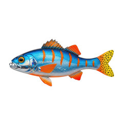 Fototapeta premium A vibrant blue fish with orange stripes and yellow tail fin is depicted against a plain white background.