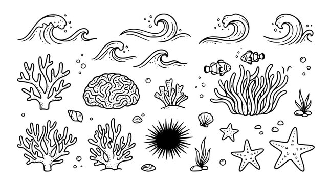Hand drawn tidal coral reef elements coral anemone clownfish urchin starfish reef wave, black ink sketch vector illustration