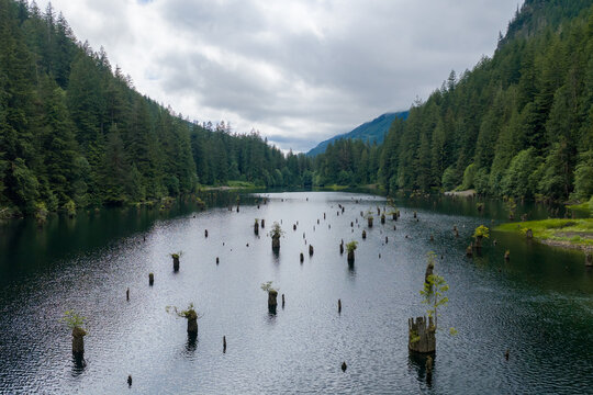 Calm Forest Lake Surrounded By Evergreen Mountains In Fraser Valley Near Chilliwack, British Columbia, Canada