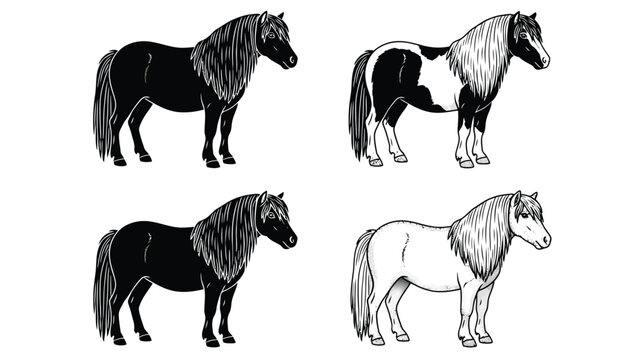 Four stylized illustrations of Shetland ponies in different colors and patterns.