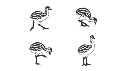 Obraz premium Four illustrations of a baby bird in different poses, showing its delicate features and playful nature.