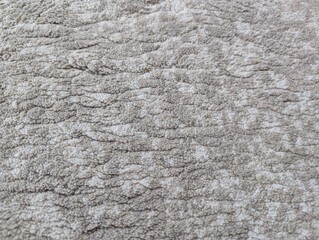 Close-up texture of a light grey and beige soft shaggy carpet with wavy patterns. © Taj Saggaf