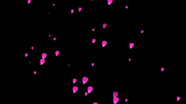 Abstract purple rain petals falling down slowly on black background beautiful soft natural flower blossom motion graphic animated footage romantic scene effect element video clip.