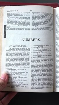 Opening to the Book of Numbers of the Old Testament in the Holy Bible. New Revised Standard Version. Vertical video.