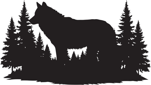 Black silhouette of a wolf standing among pine trees forest
