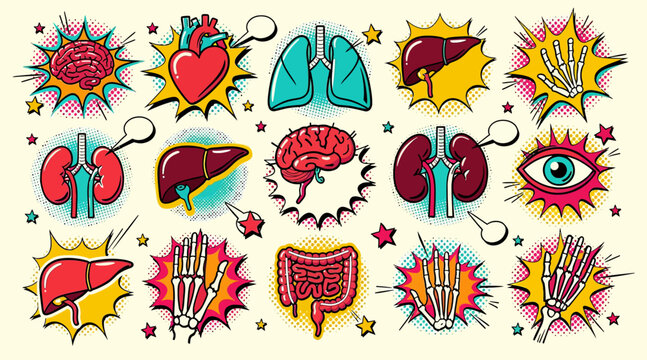 human organs stickers, colorful comic style