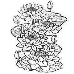 Fototapeta premium hand drawn lotus flower