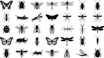 Fototapeta premium Group of insect and bug silhouettes for scientific study and artistic design project illustrations