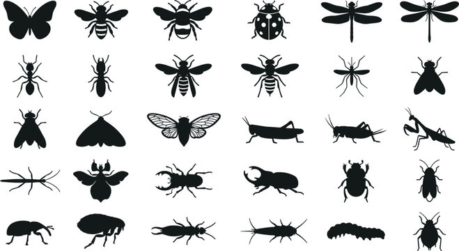 Set of black insect silhouettes featuring various bugs and creepy crawlers for entomology collection