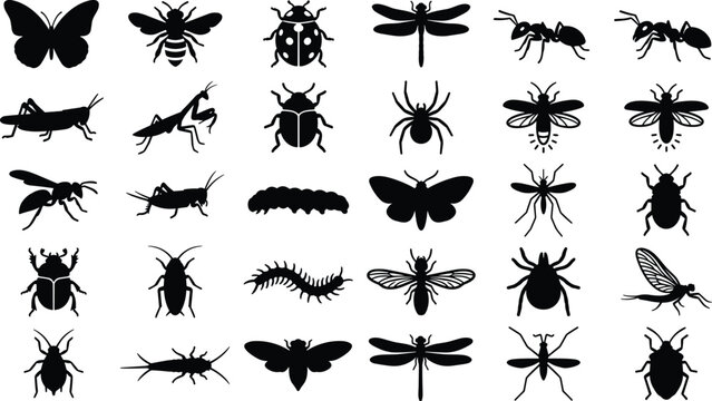 Set of insect silhouettes including beetles butterflies dragonflies and various garden garden bugs