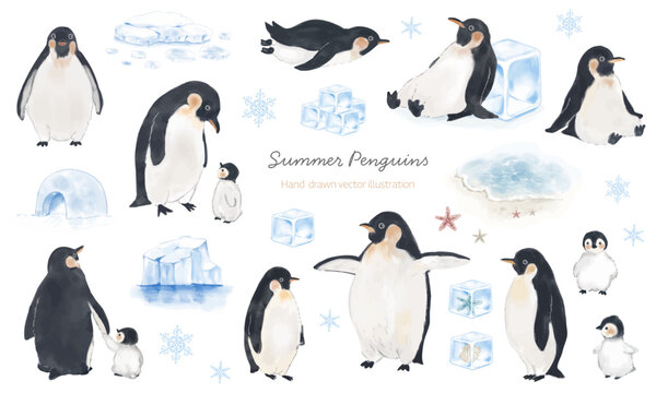 夏をイメージしたペンギンと氷のゆるかわ水彩イラストセット