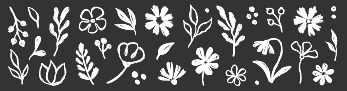 Brush flower leaf paint set. Hand drawn brush flower leaf floral stroke sketch plant doodle nature. Chalkboard blackboard botanical daisy poppy leaves herb summer background. Vector illustration