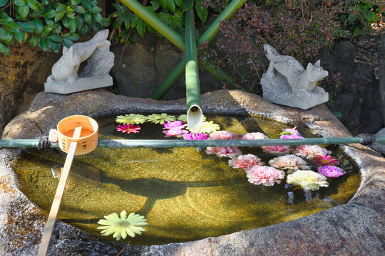 穴守稲荷神社　美しい花手水（日本東京都大田区羽田）Anamori Inari Shrine: Beautiful hanachōzu (floral water offering) (Haneda, Ota City, Tokyo, Japan)
