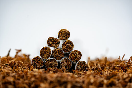 Close up of rolled cigarettes on loose tobacco.
