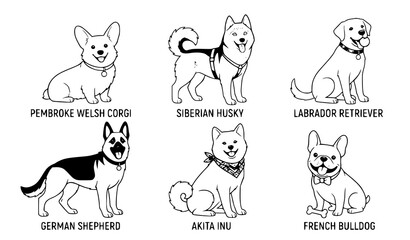 Cartoon Dog Breed Vector Set with Pembroke Welsh Corgi, Husky, Labrador, German Shepherd, Akita and French Bulldog © Rashel12