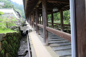 Fototapeta premium A Japanese temple : a scene of the precincts to Hase-dera Temple in Sakurai City in Nara Prefecture