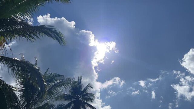 Sunlight breaking through clouds behind silhouette of palm trees