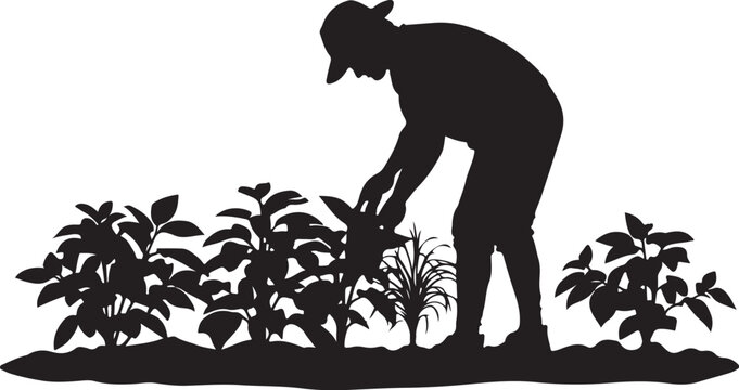 Silhouette of a person tending to plants in a garden