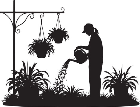 Silhouette of a woman watering plants, hanging baskets garden