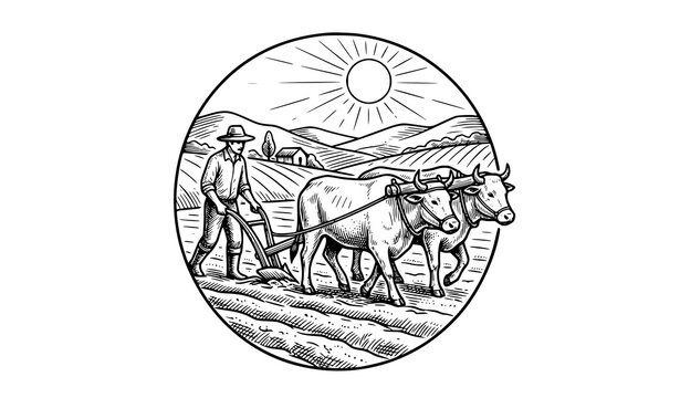 Hand Drawn Farmer Plowing with Two Oxen Vintage Monochrome Vector Illustration