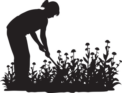 Silhouette of woman gardening, digging flowers with shovel d