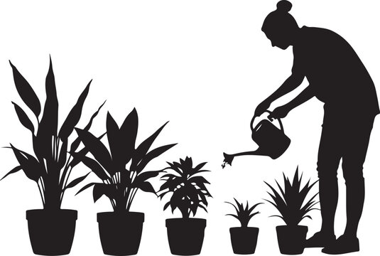 Silhouette of woman watering potted plants, six plants