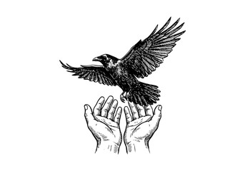 Fototapeta premium Vintage Raven Vector Illustration Hand Drawn Crow Bird Flying Perched Black And White Line Art Sketch For Gothic Halloween And Nature Graphic Design
