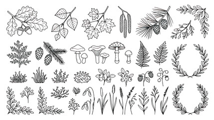 Vintage forest botanical line art collection, hand drawn woodland plants and leaves vector set, black and white floral elements for wedding invitations © Dream Time Studio