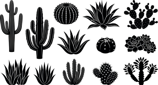 Desert cactus and succulent plant collection featuring black silhouettes of saguaro agave aloe vera prickly pear and echeveria vectors