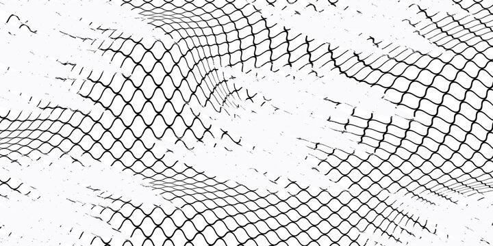 Black snake skin pattern isolated on white background eps 10