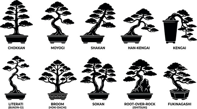 Traditional Japanese bonsai tree styles collection featuring black silhouettes of potted miniature trees with authentic botanical name typography labels