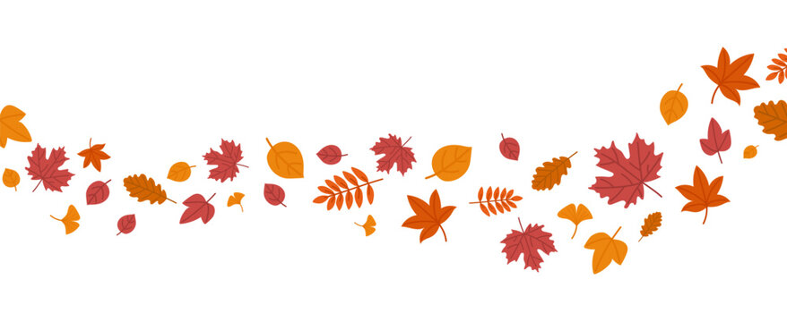 Autumn border with brigt, red, yellow and orang leaf on white background. Minimal festive garland for Thanksgiving Day and Autumn decoration. Fall elegant design for greeting card or banner. Flat vect