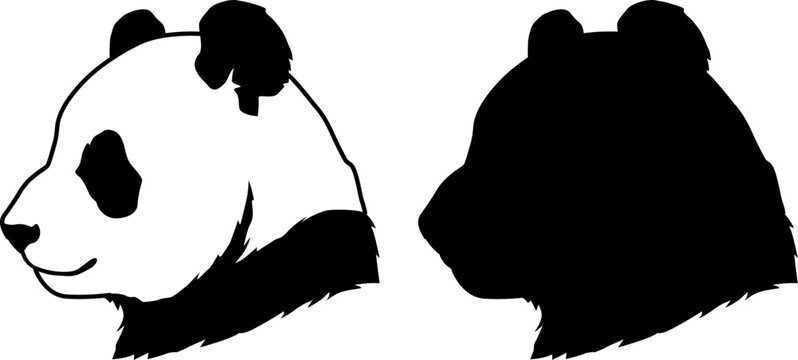 panda head close-up vector