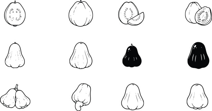 Wax Apple Vector Collection &ndash; Rose Apple, Water Apple and Java Apple Line Art Tropical Fruit Illustration Set