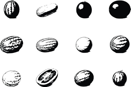 Watermelon Vector Collection &ndash; Whole Watermelon, Melon, Sliced Watermelon and Tropical Fruit Line Art Illustration Set