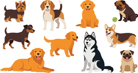 Cute Dog Breeds Cartoon Character Set with Golden Retriever Husky Beagle Corgi Yorkie and Pug for Pet Care Veterinary Graphic Asset Flat Vector Illustration © Shakil