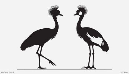 Fototapeta premium Two crowned crane birds standing together elegant wildlife silhouette illustration vector graphic stock asset
