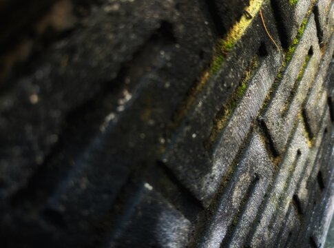 Close-up view of a worn tire with moss growing on its treads