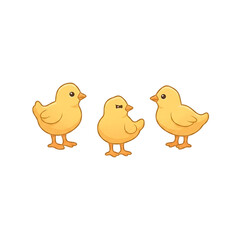 Naklejka premium Three cute little yellow baby chicks vector illustration