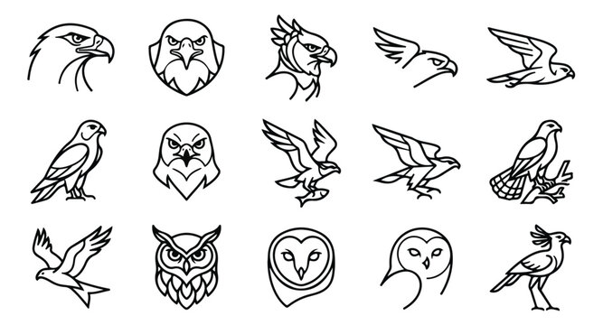 Minimalist bird of prey line art icons, 15 eagle and owl vector illustrations, modern geometric hawk and falcon branding elements for sports logos