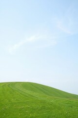 Obraz premium Rolling Green Hillside Under Clear Blue Sky with Soft Clouds