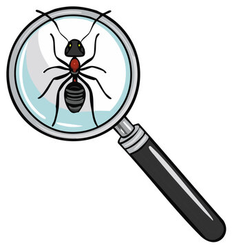 Magnifying glass revealing a detailed view of an ant, science and observation concept