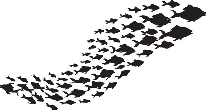School of Fish, Black Silhouettes, Vector Schooling Fish, Oceanic Wildlife Icons