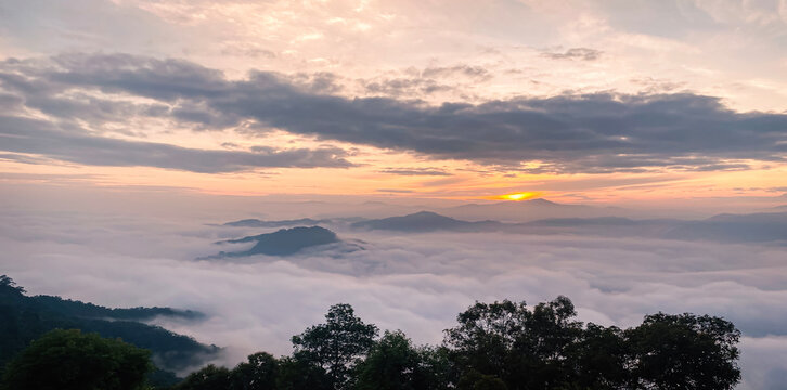 Beautiful sunrise landscape background with dense sea of fog over mountains and dark green trees foreground for panoramic travel design