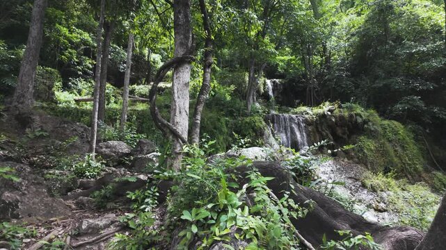 Lush tropical foliage frames a small tiered waterfall and twisted vines along a rocky jungle slope in Erawan National Park.