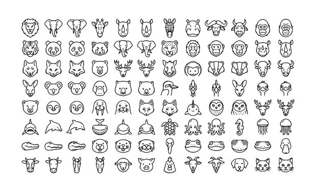 SEO Title:
Professional Animal Wildlife Front View Head Line Icons with Editable Stroke Vector Set